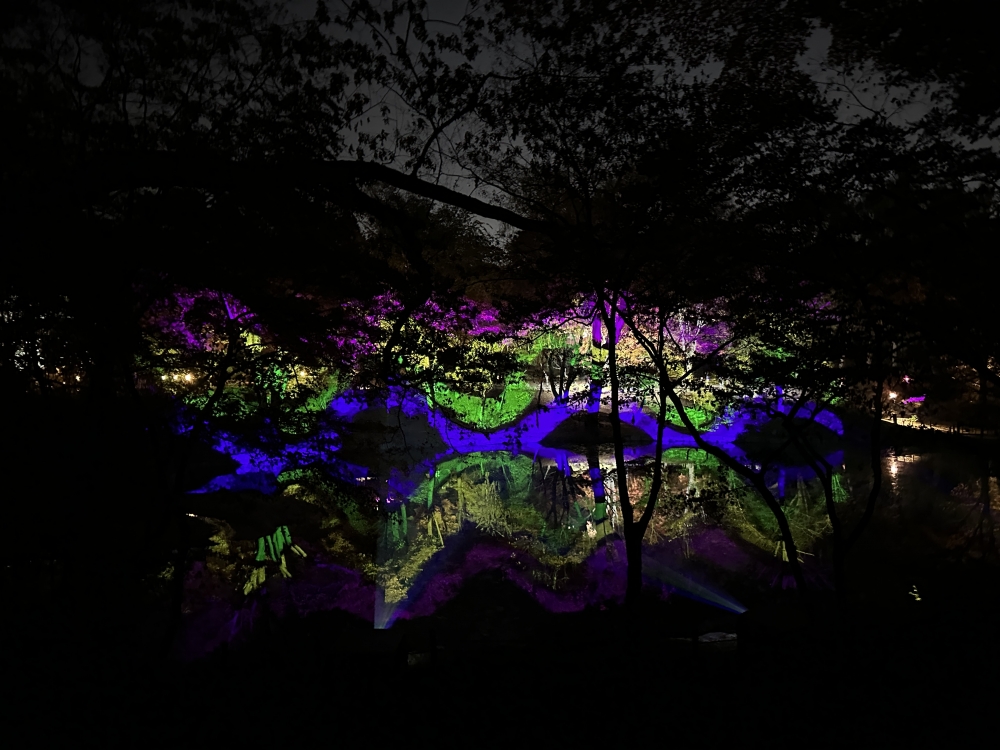 006011275c1246c9eb2f3914af5cc7d8_1698390305_5544.JPG